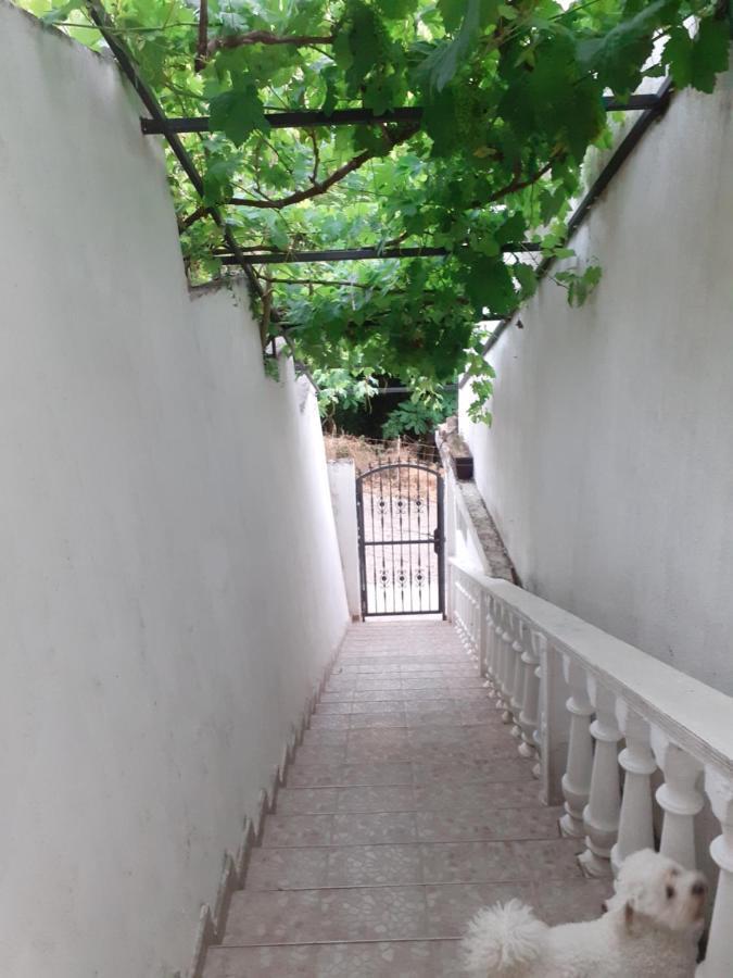 Guest House Cvoro 赫尔采格诺维 客房 照片