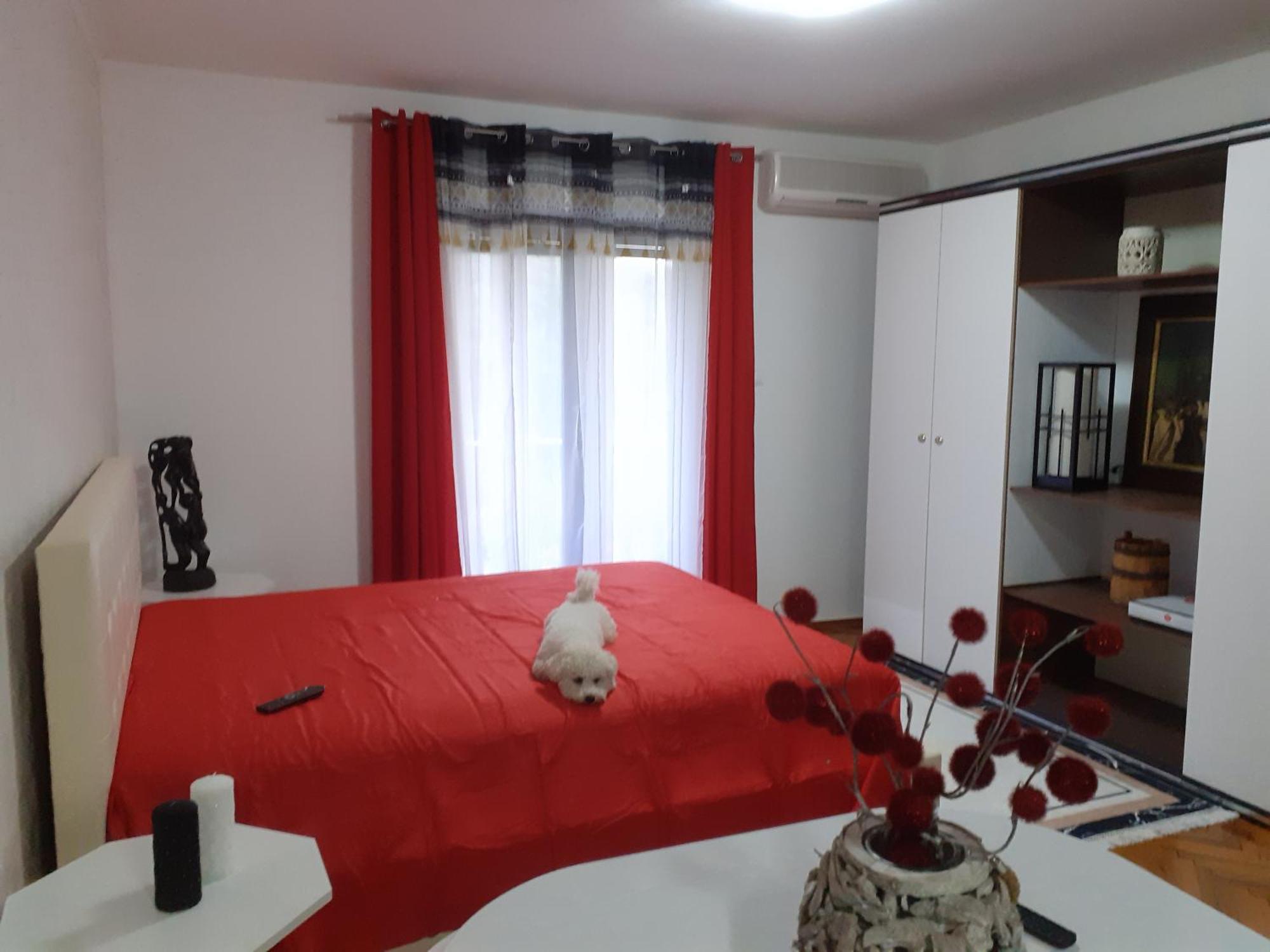 Guest House Cvoro 赫尔采格诺维 客房 照片