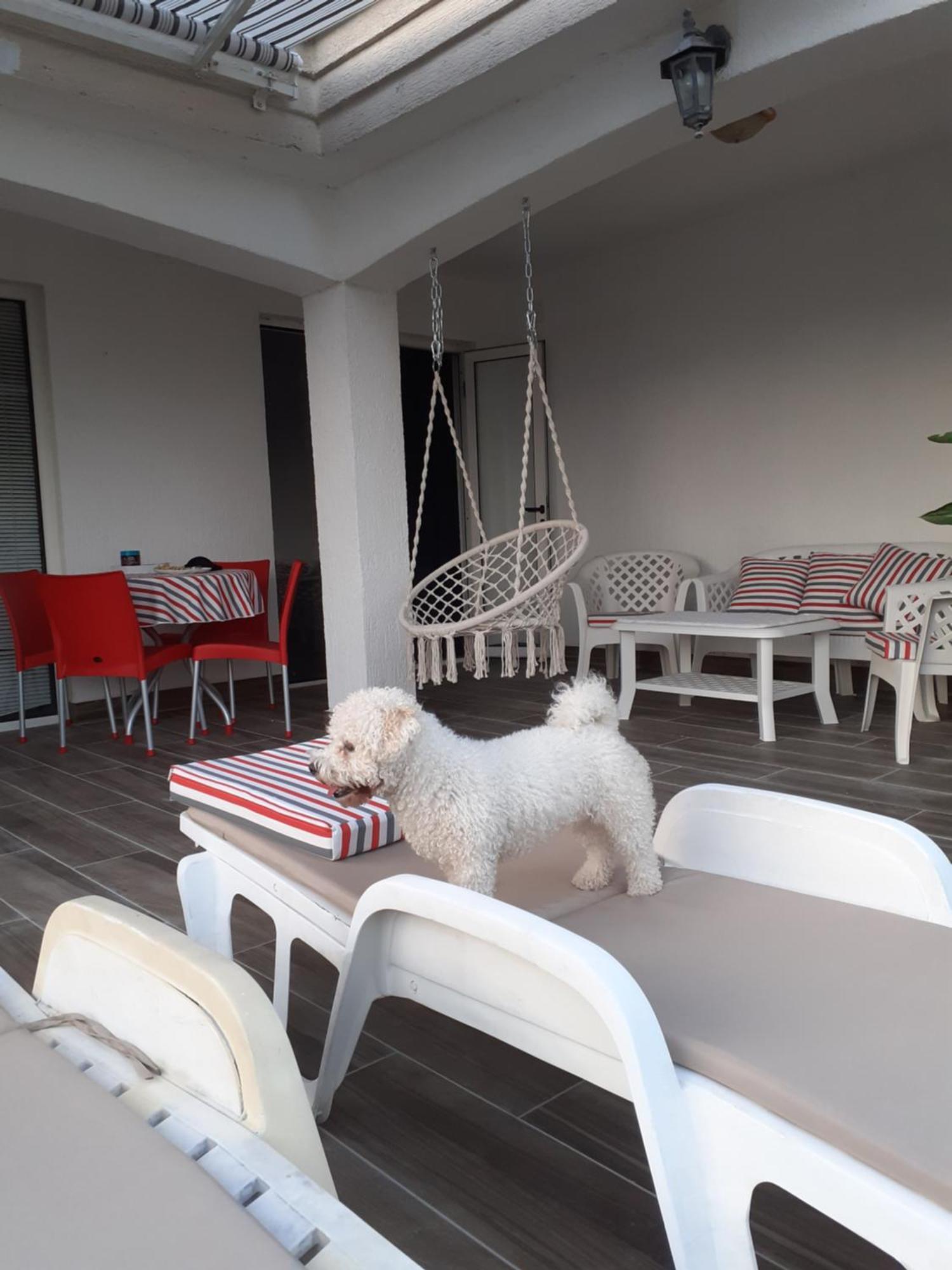 Guest House Cvoro 赫尔采格诺维 客房 照片