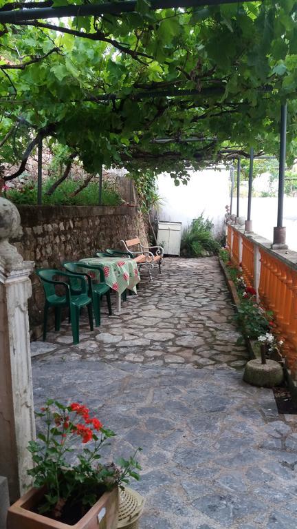 Guest House Cvoro 赫尔采格诺维 外观 照片